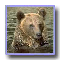 Ours